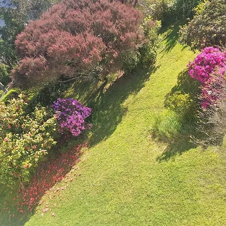 Casa Con Jardin A 200 Metros Playa De Areas En Διαμέρισμα Sanxenxo
