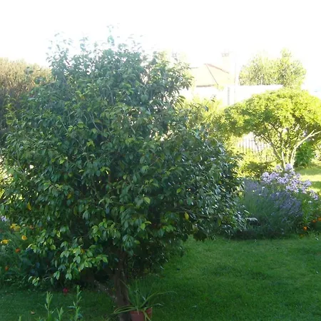 Διαμέρισμα Casa Con Jardin A 200 Metros Playa De Areas En *